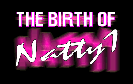 Text-only comic title screen: 'The Birth of Natty1'