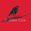 A silhouette of a crow on a tree branch