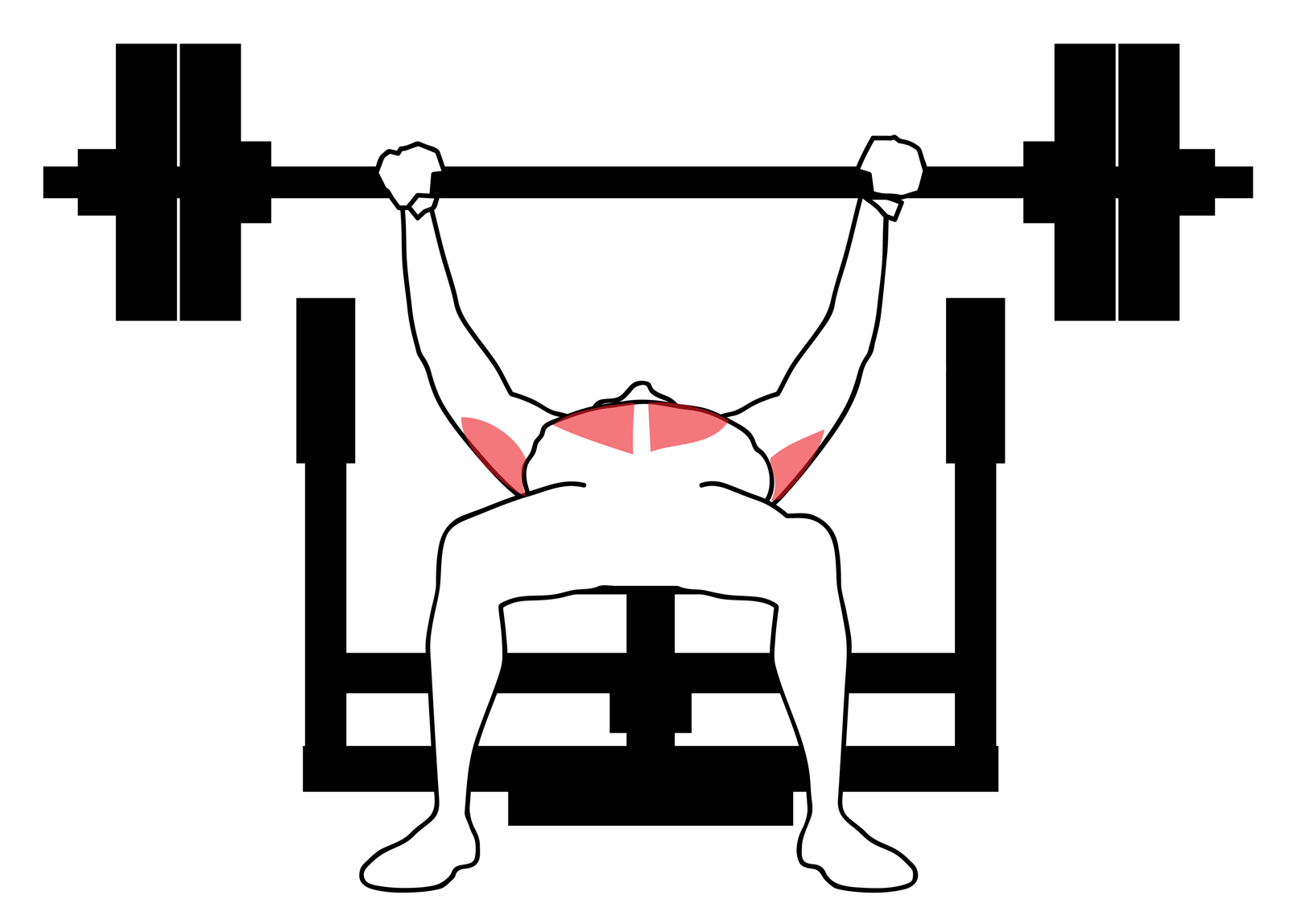 A man is lying on a bench performing a bench press using a barbell