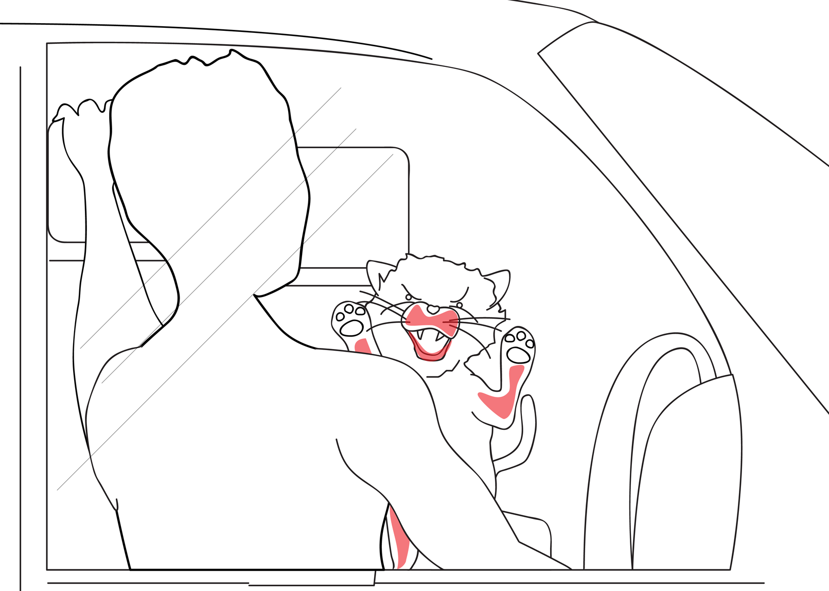 The seated shoulder press man is taken by surprise as an angry cat on the passenger seat raises up on its hind legs with front paws raised as it hisses at him with sharp teeth on show